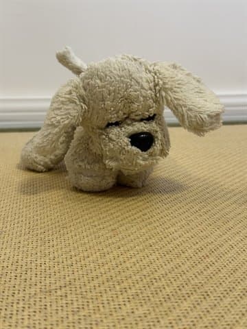 小白狗